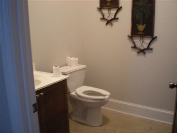 121 Old Dawson Village Rd, Dawsonville, GA 30534_Bathroom