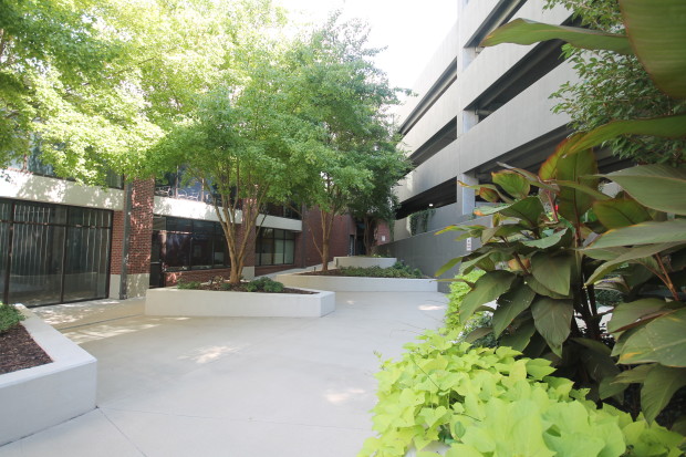 327 Nelson_Castleberry Point_28